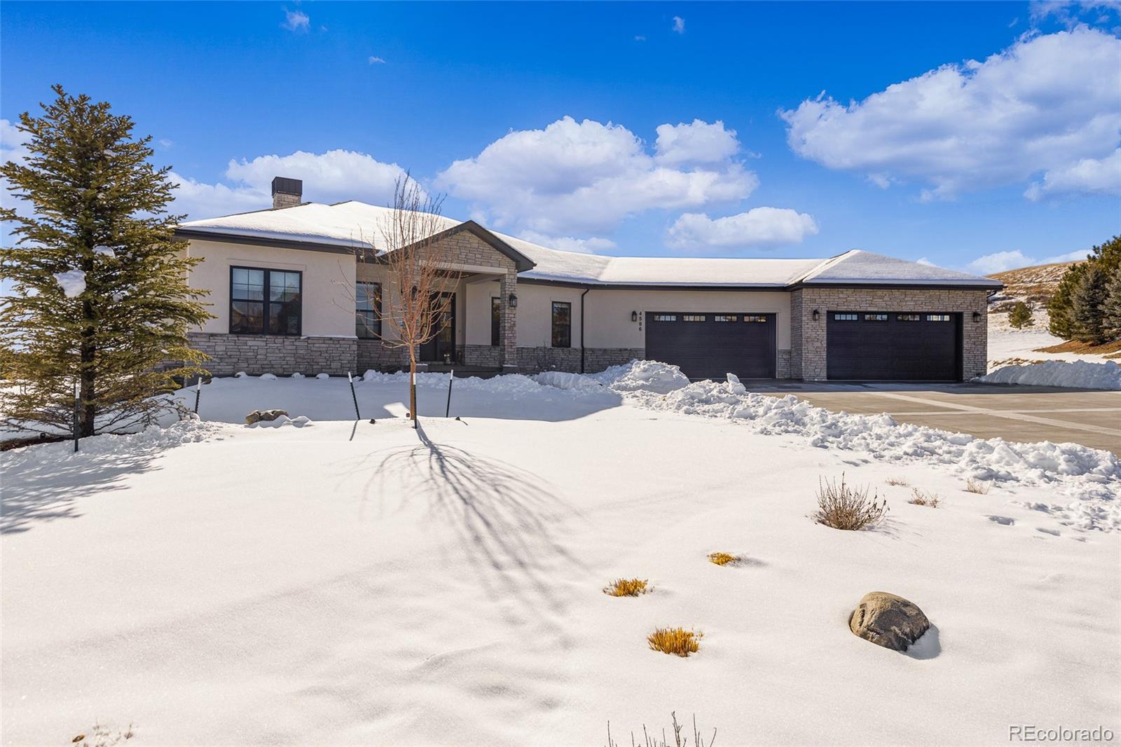 MLS Image #2 for 4586  sonado place,parker, Colorado