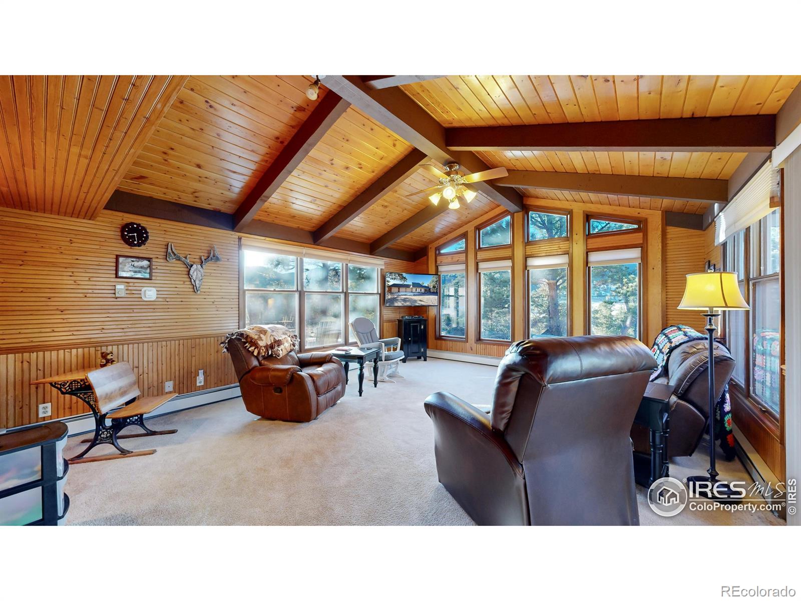 MLS Image #13 for 350  ponderosa avenue,estes park, Colorado