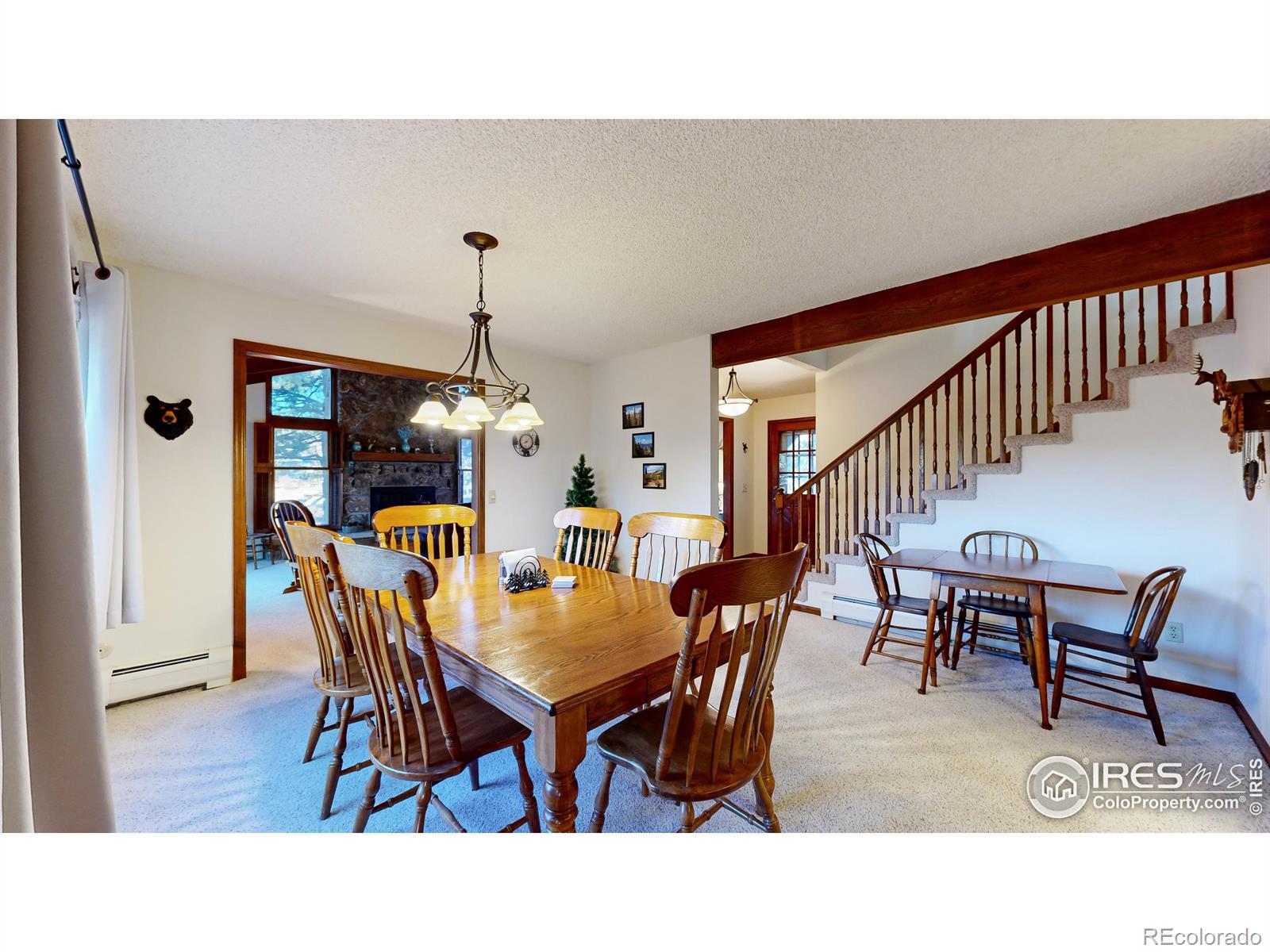 MLS Image #15 for 350  ponderosa avenue,estes park, Colorado