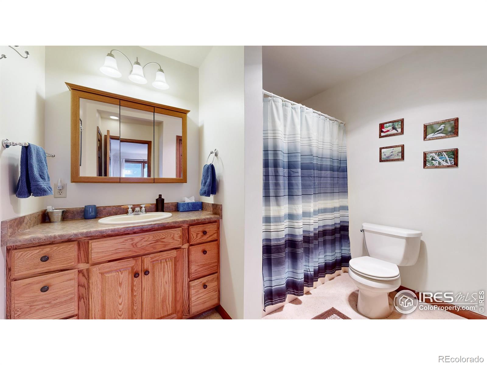 MLS Image #19 for 350  ponderosa avenue,estes park, Colorado