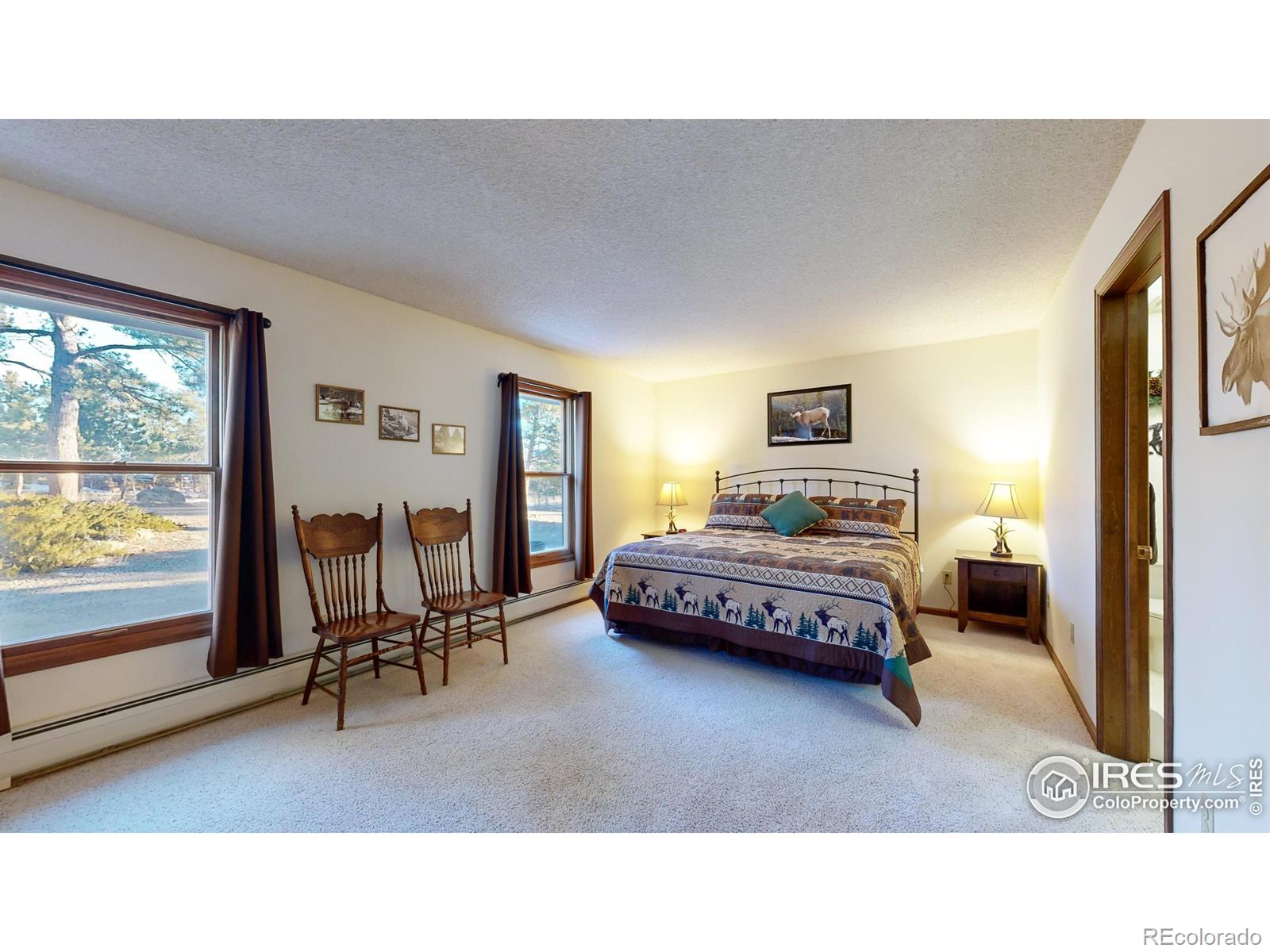 MLS Image #8 for 350  ponderosa avenue,estes park, Colorado