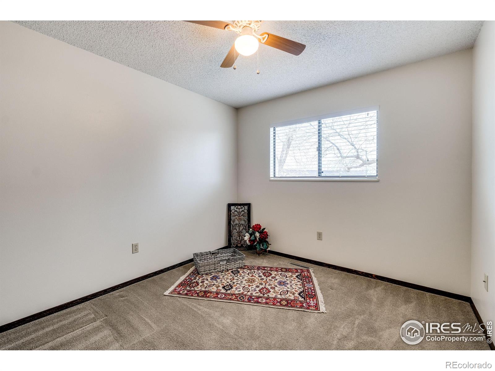 MLS Image #14 for 2072  wedgewood court,greeley, Colorado