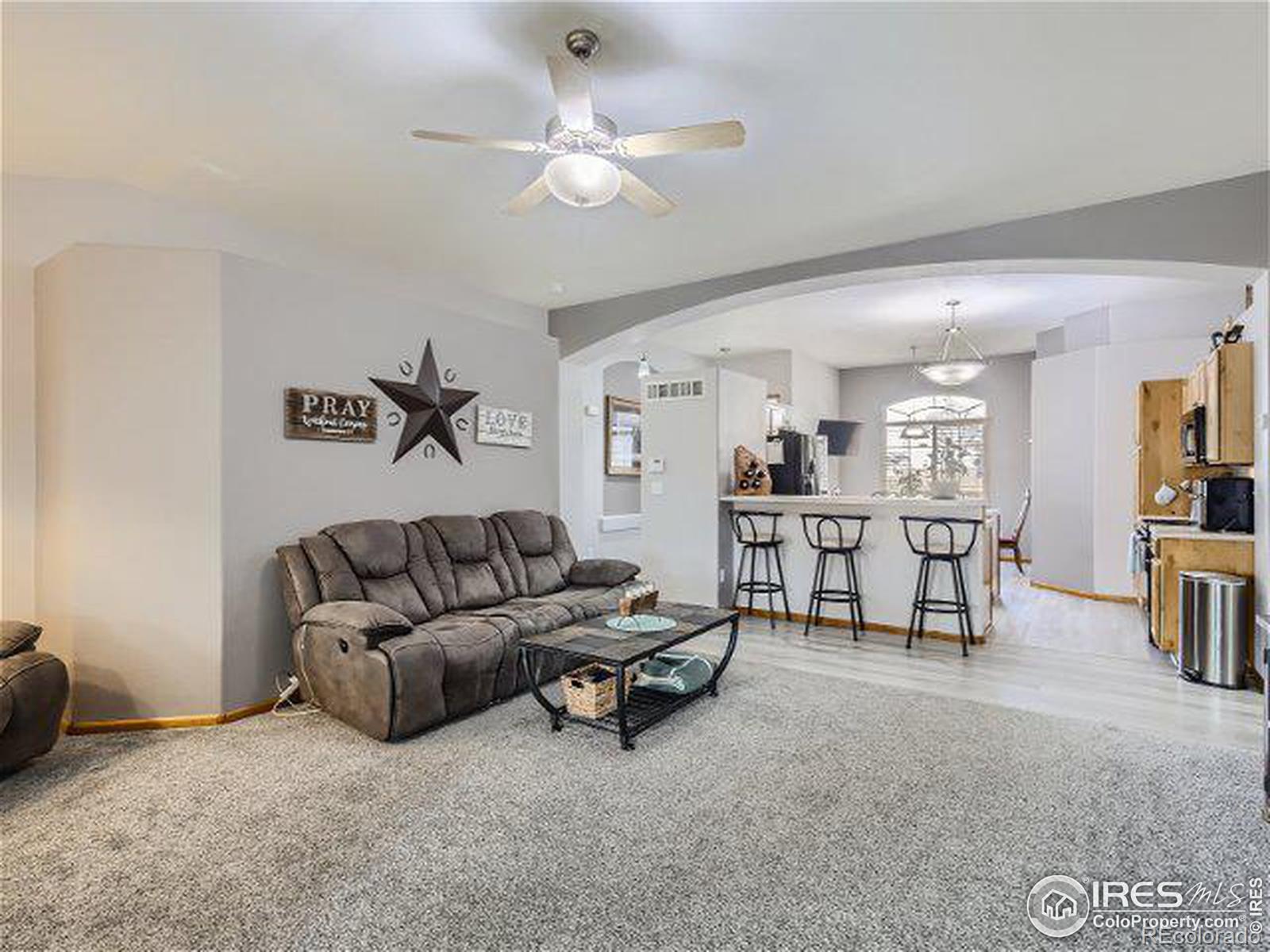 MLS Image #6 for 117  blue spruce drive,severance, Colorado