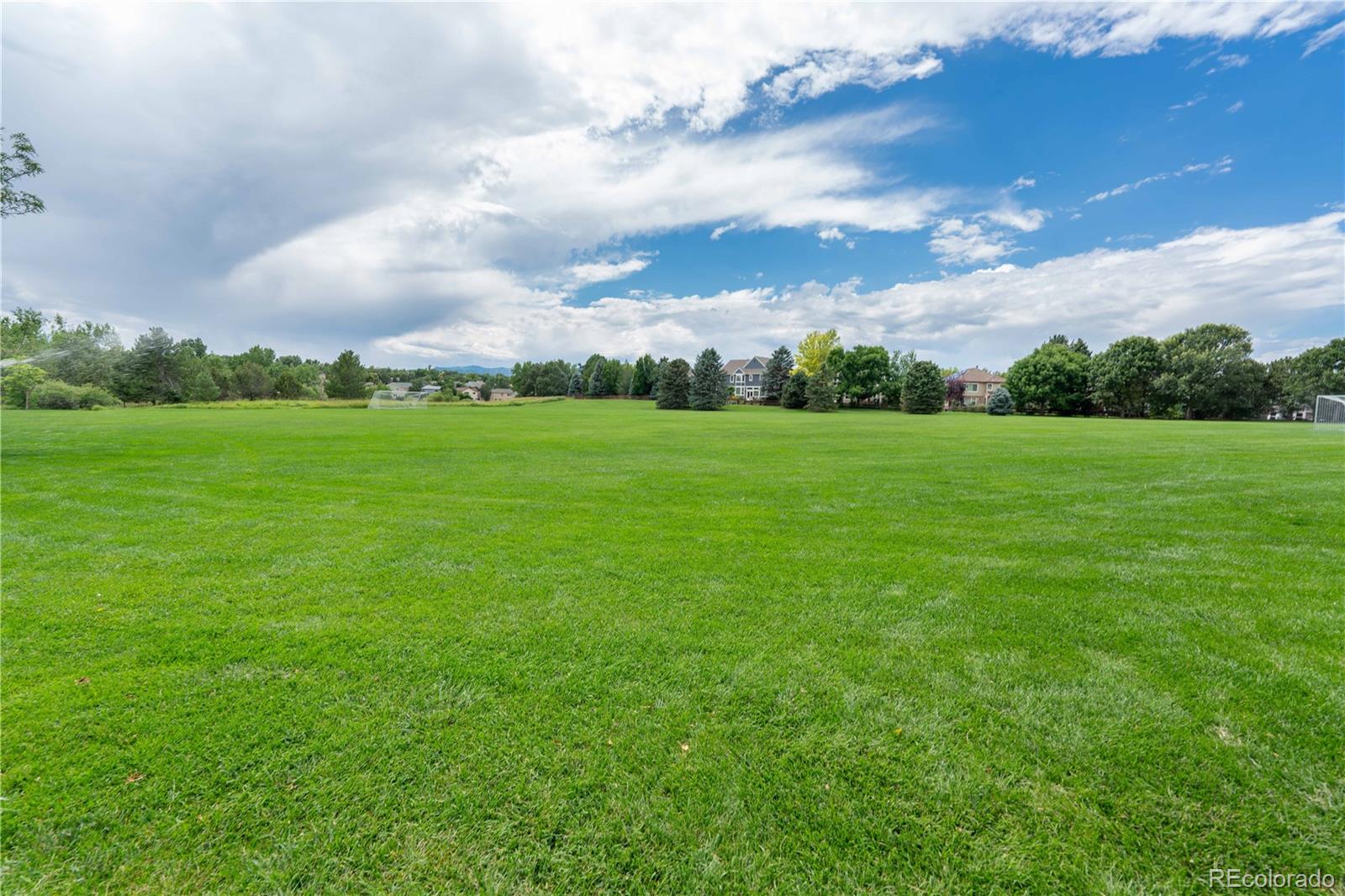 MLS Image #13 for 9349  desert willow road,highlands ranch, Colorado