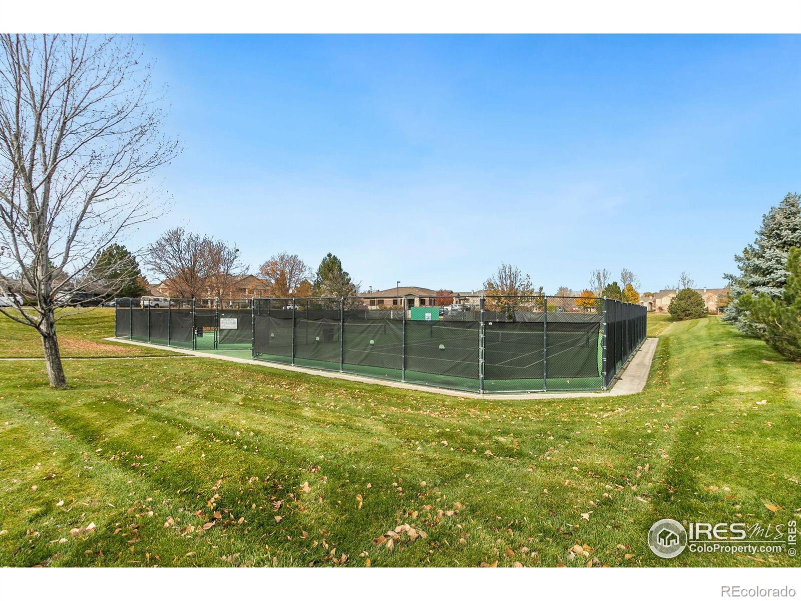 MLS Image #19 for 5225  white willow drive,fort collins, Colorado