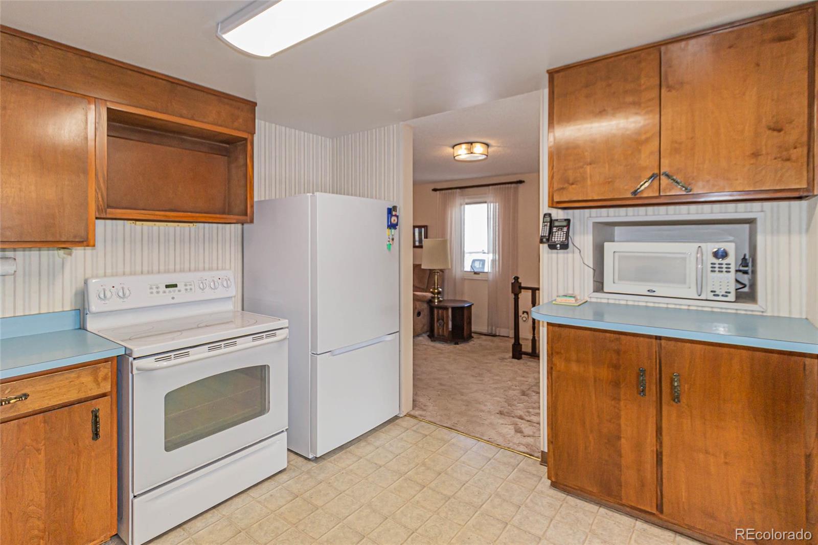 MLS Image #10 for 2716  lark drive,colorado springs, Colorado