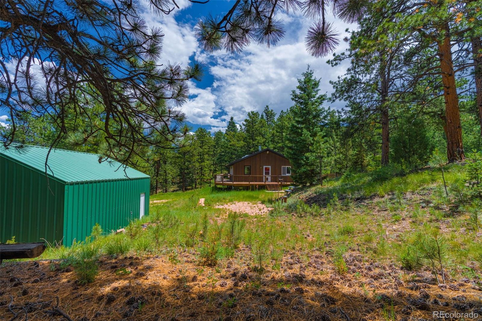 MLS Image #19 for 1596  kelly creek trail,canon city, Colorado