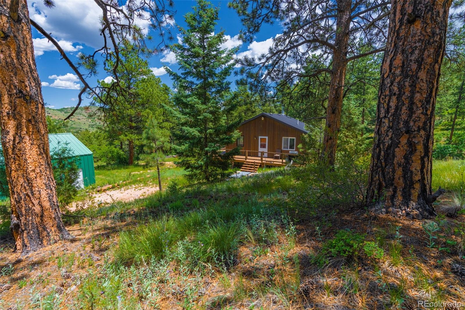 MLS Image #20 for 1596  kelly creek trail,canon city, Colorado