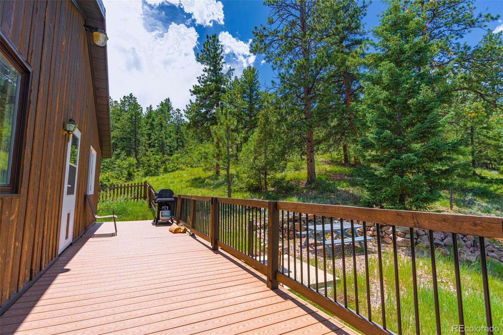 MLS Image #22 for 1596  kelly creek trail,canon city, Colorado