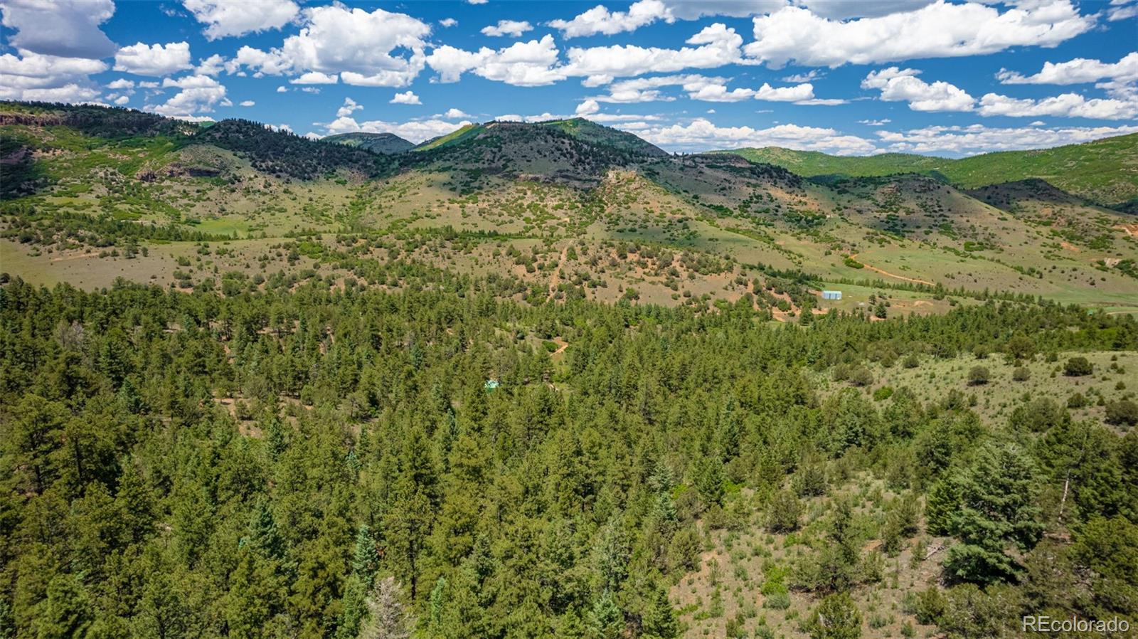 MLS Image #31 for 1596  kelly creek trail,canon city, Colorado