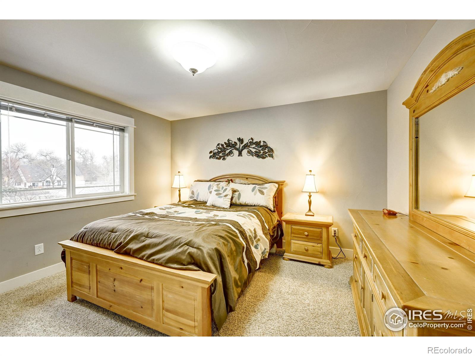 MLS Image #19 for 6624  secretariat drive,niwot, Colorado