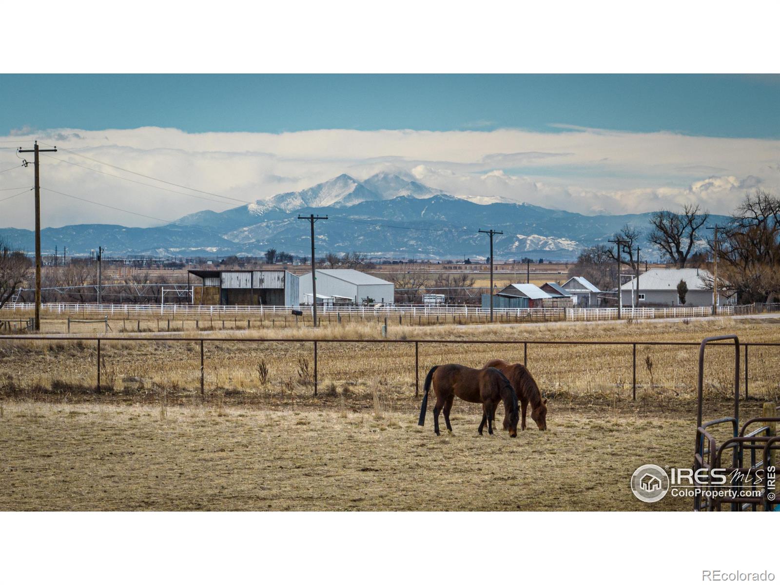 MLS Image #31 for 33059  county road 51 ,greeley, Colorado