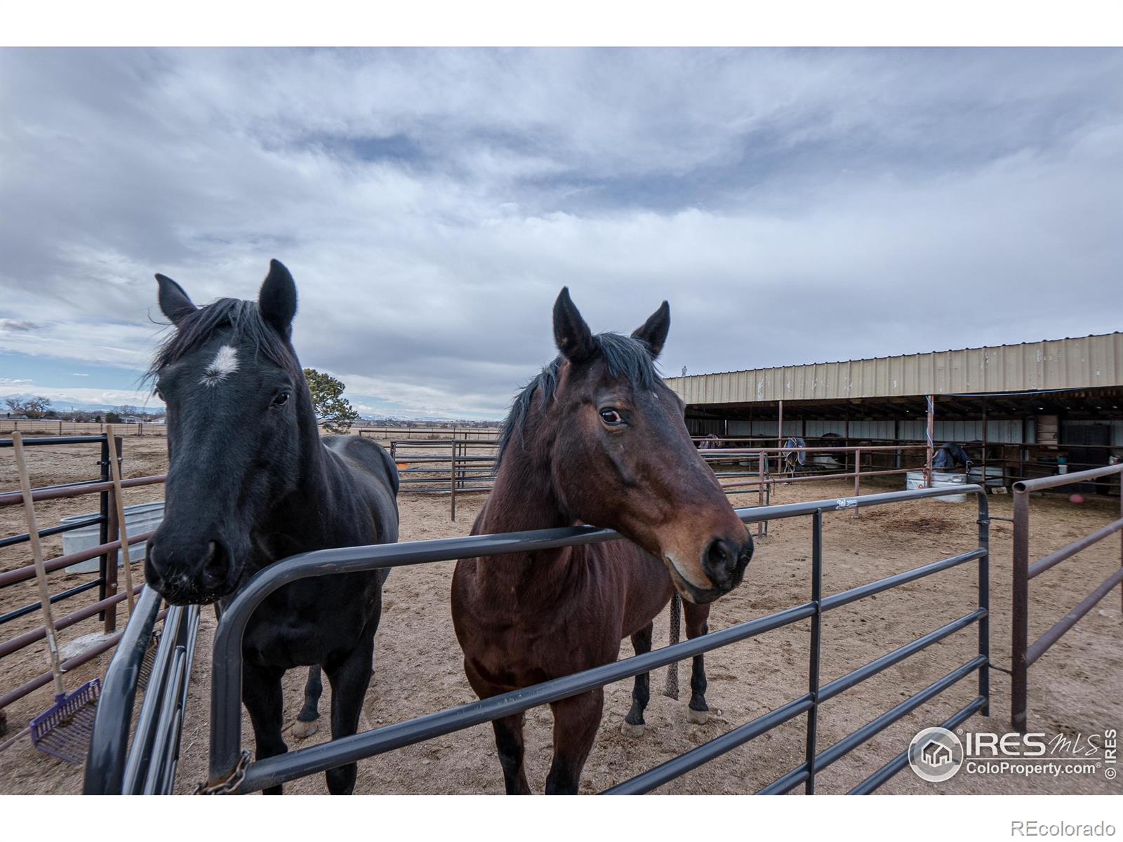 MLS Image #37 for 33059  county road 51 ,greeley, Colorado