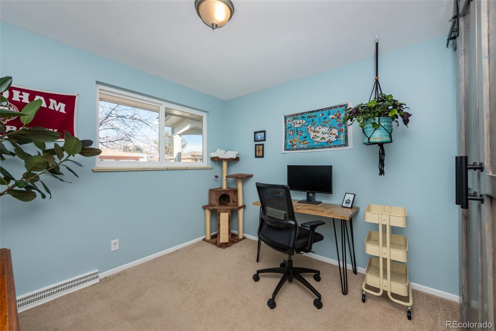 MLS Image #12 for 6436  wolff street,arvada, Colorado