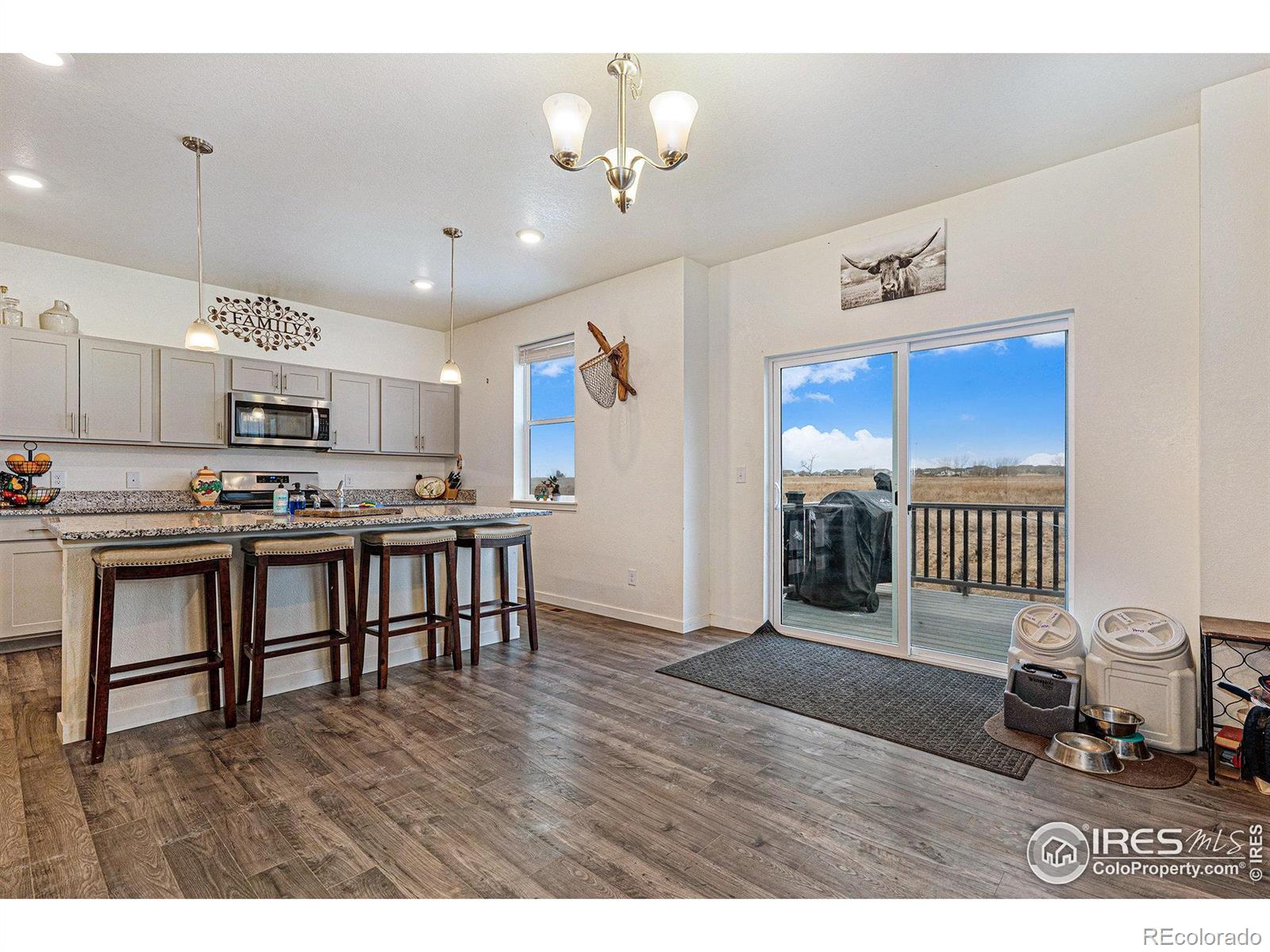 MLS Image #10 for 2425  mountain sky drive,fort lupton, Colorado
