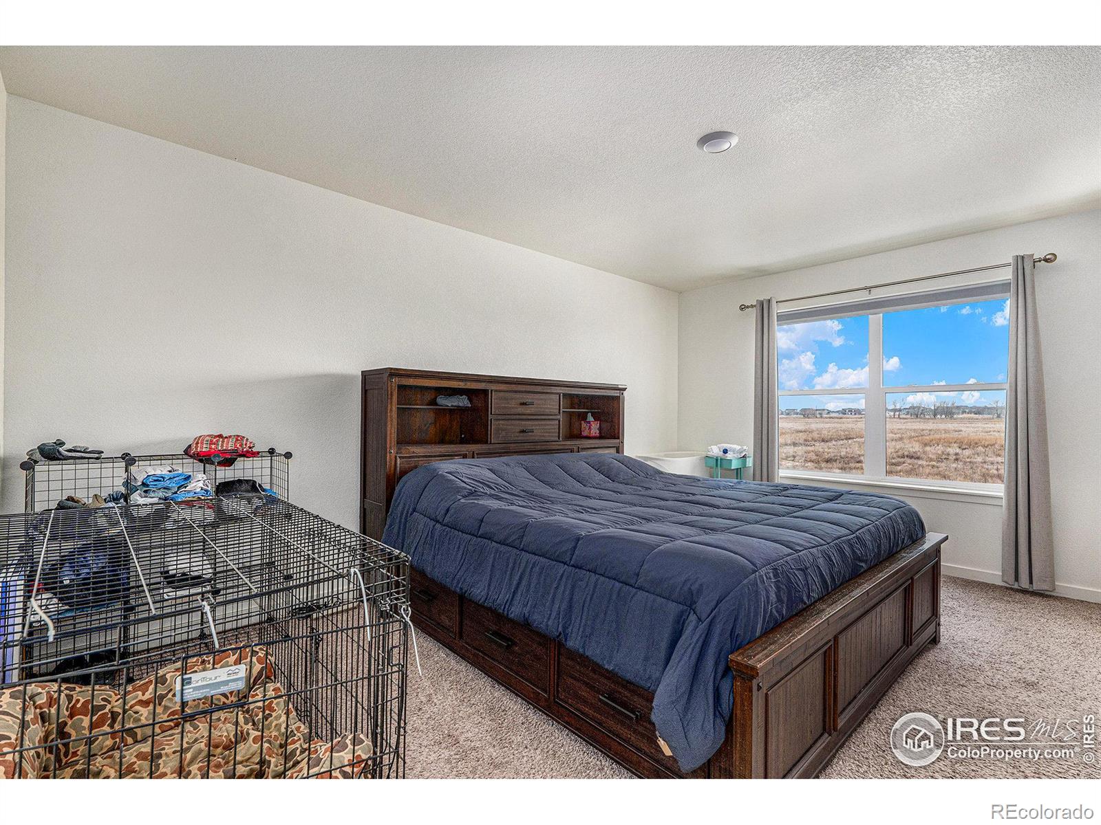 MLS Image #16 for 2425  mountain sky drive,fort lupton, Colorado