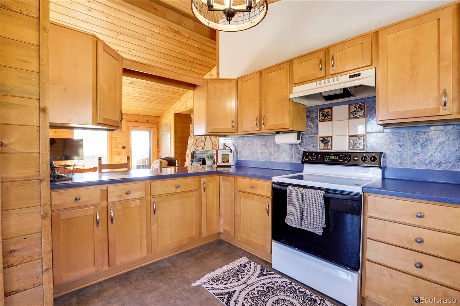 MLS Image #20 for 675  tapadero road,bailey, Colorado