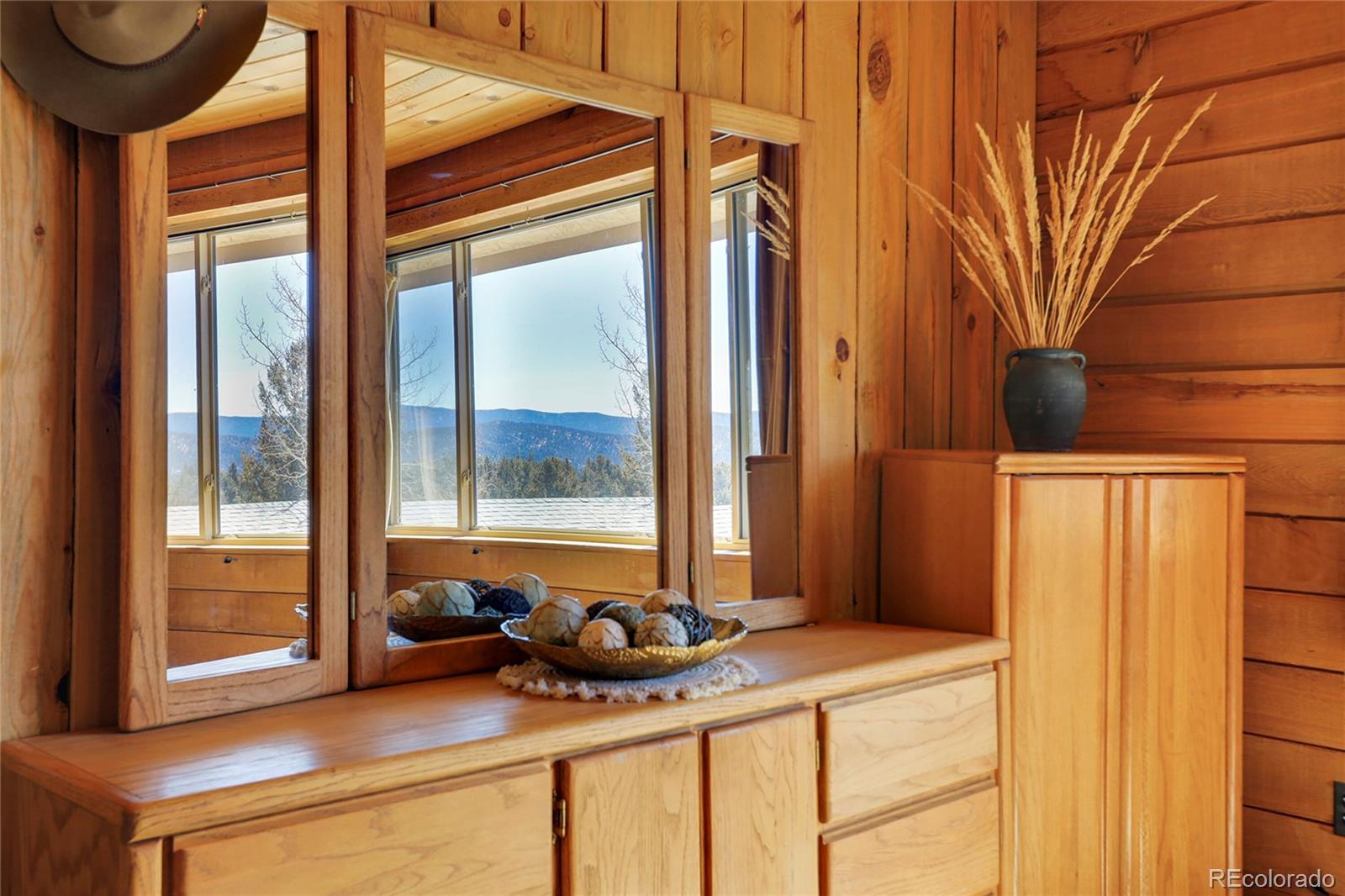 MLS Image #9 for 675  tapadero road,bailey, Colorado