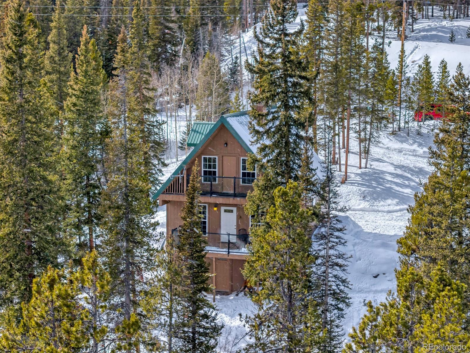 MLS Image #28 for 436  golden hills road,alma, Colorado