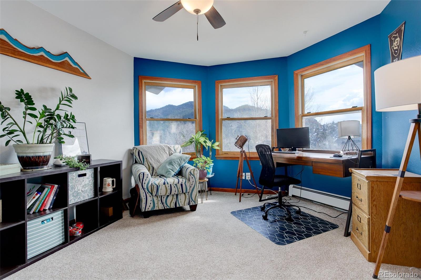 MLS Image #16 for 2793 s riverview drive,idledale, Colorado