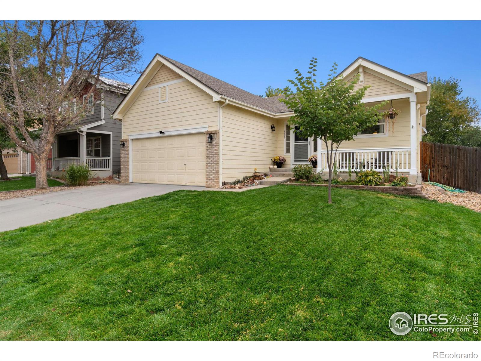 Report Image for 7228  Foothill Street,Longmont, Colorado