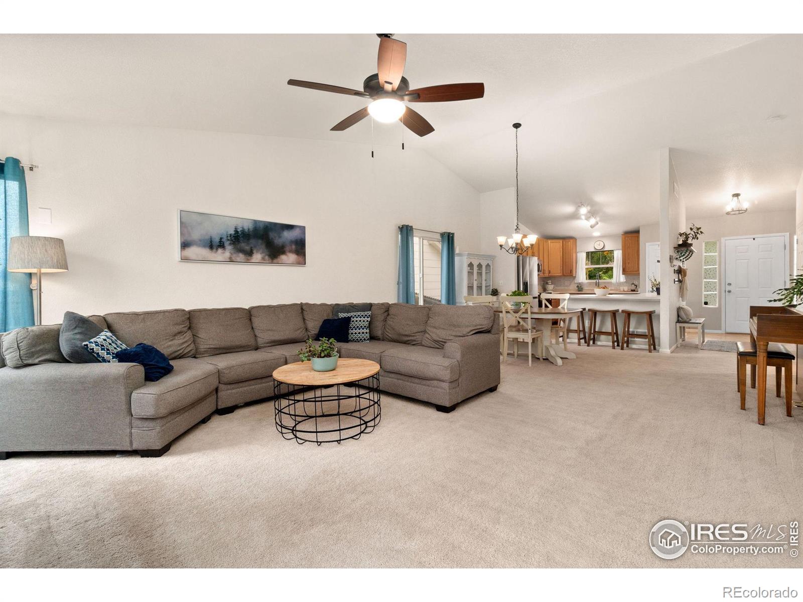 MLS Image #16 for 7228  foothill street,longmont, Colorado