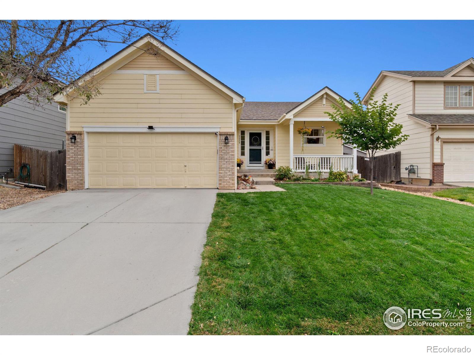MLS Image #2 for 7228  foothill street,longmont, Colorado