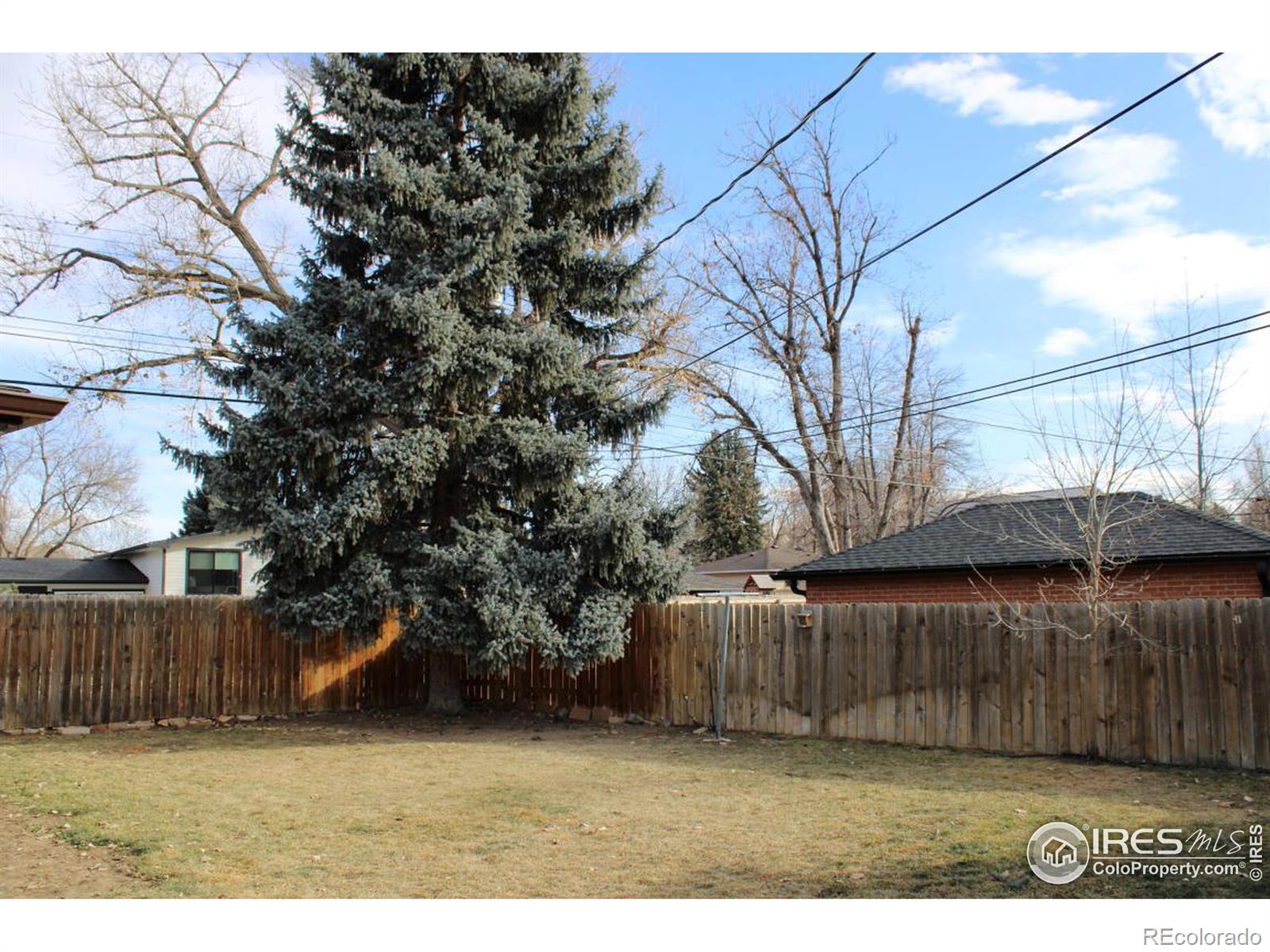 MLS Image #19 for 1148  gay street,longmont, Colorado