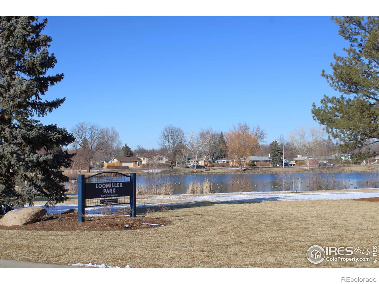 MLS Image #26 for 1148  gay street,longmont, Colorado