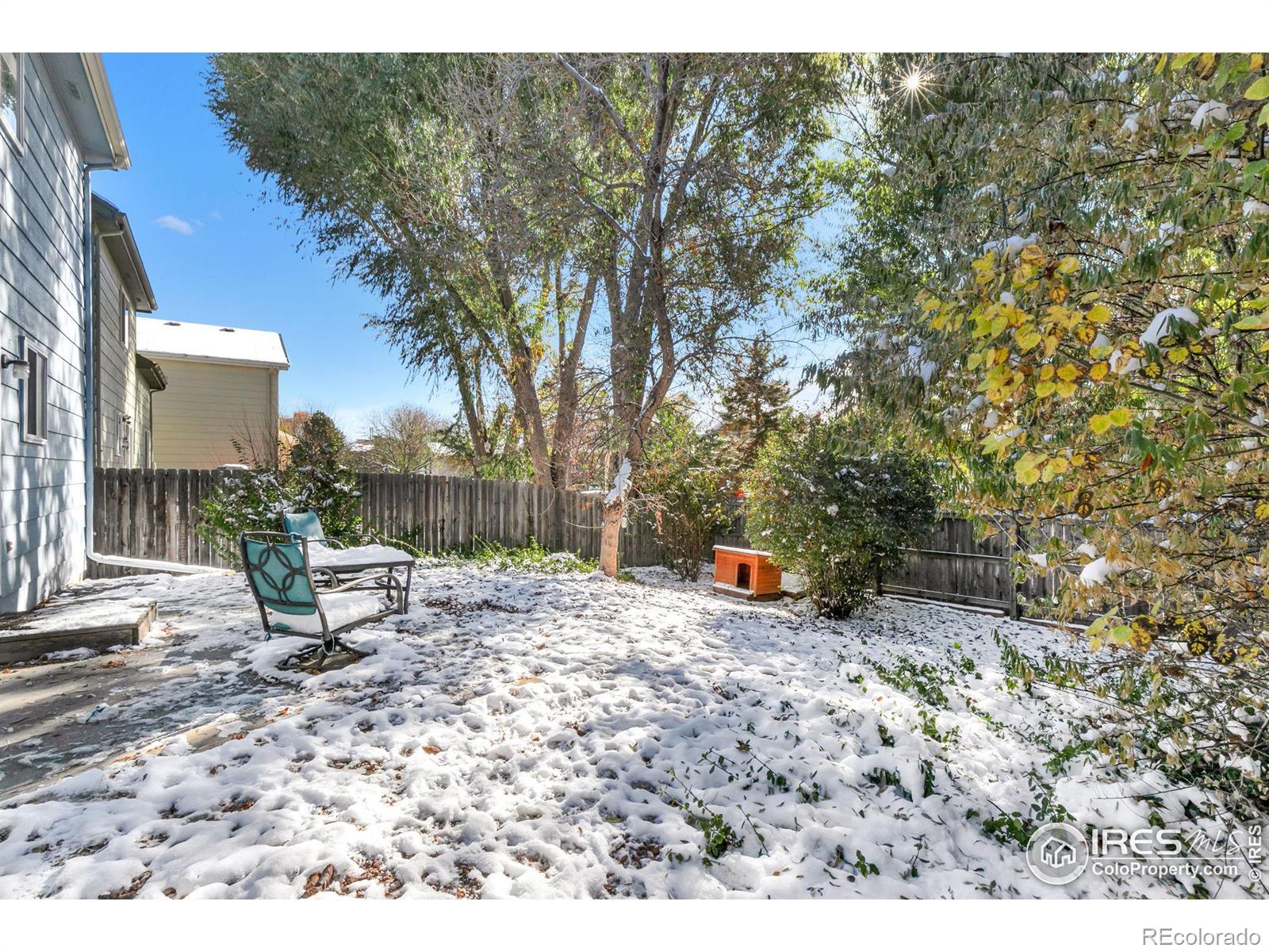 MLS Image #14 for 1819  angelo court,fort collins, Colorado