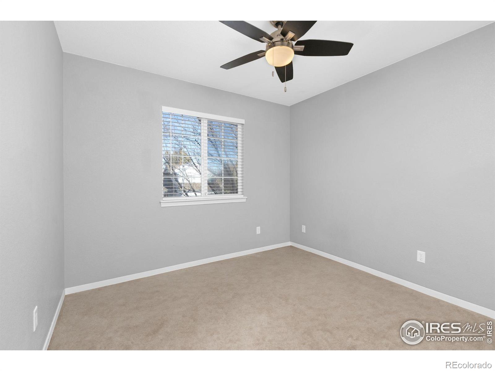 MLS Image #8 for 1819  angelo court,fort collins, Colorado