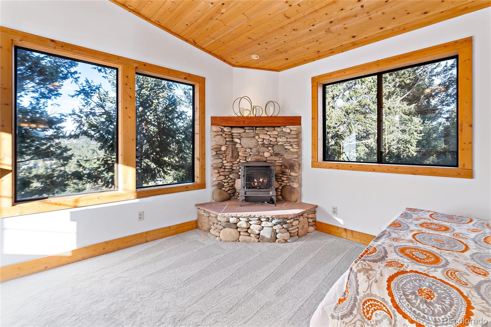 MLS Image #11 for 3059  happy trail,evergreen, Colorado