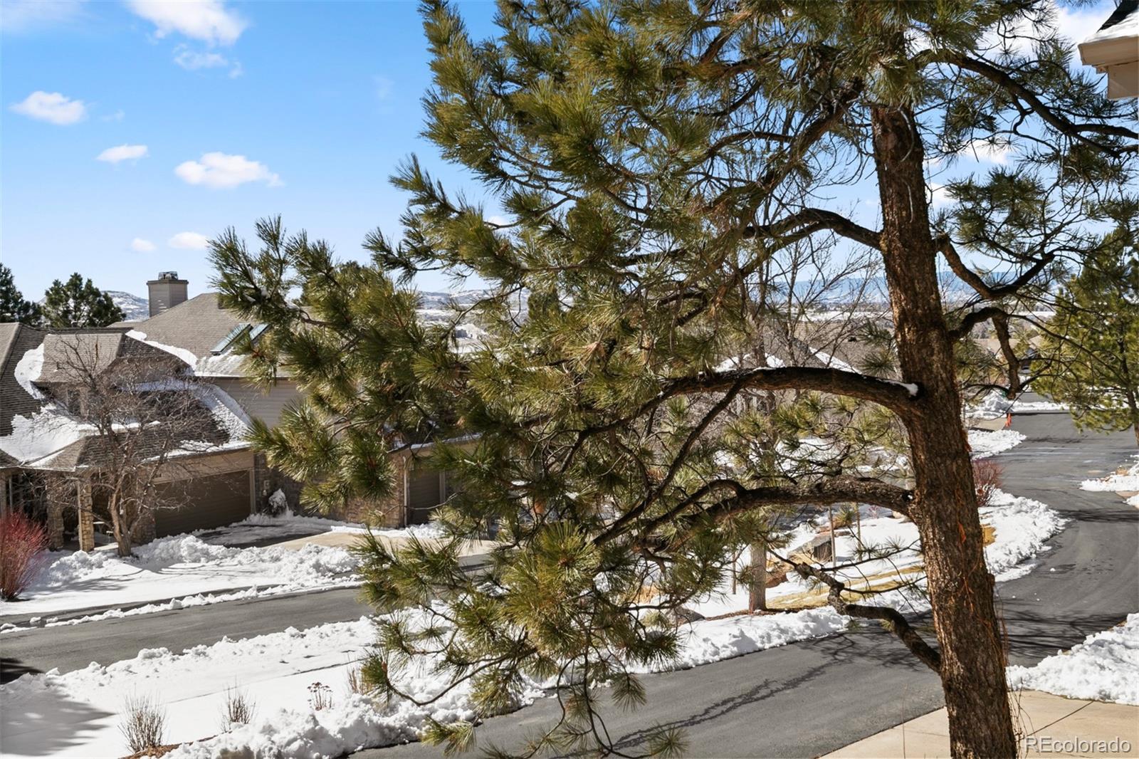 MLS Image #14 for 4209  morning star drive,castle rock, Colorado