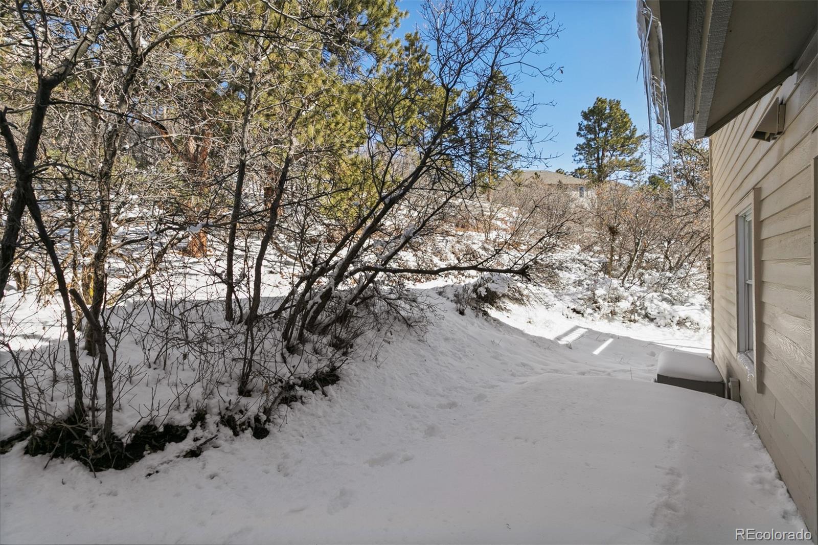 MLS Image #28 for 4209  morning star drive,castle rock, Colorado