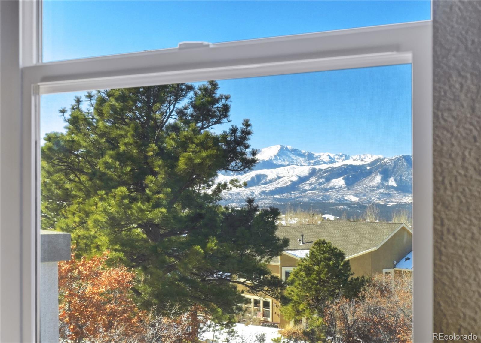 MLS Image #8 for 12706  cloudy bay drive,colorado springs, Colorado