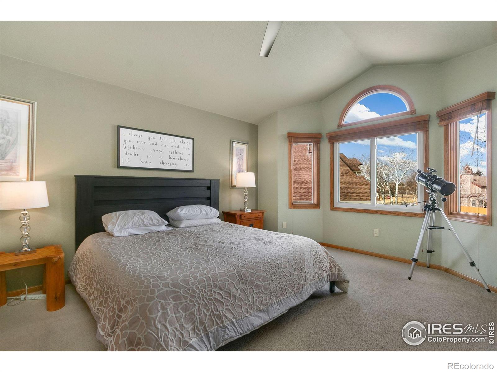 MLS Image #18 for 2207  gemstone court,fort collins, Colorado