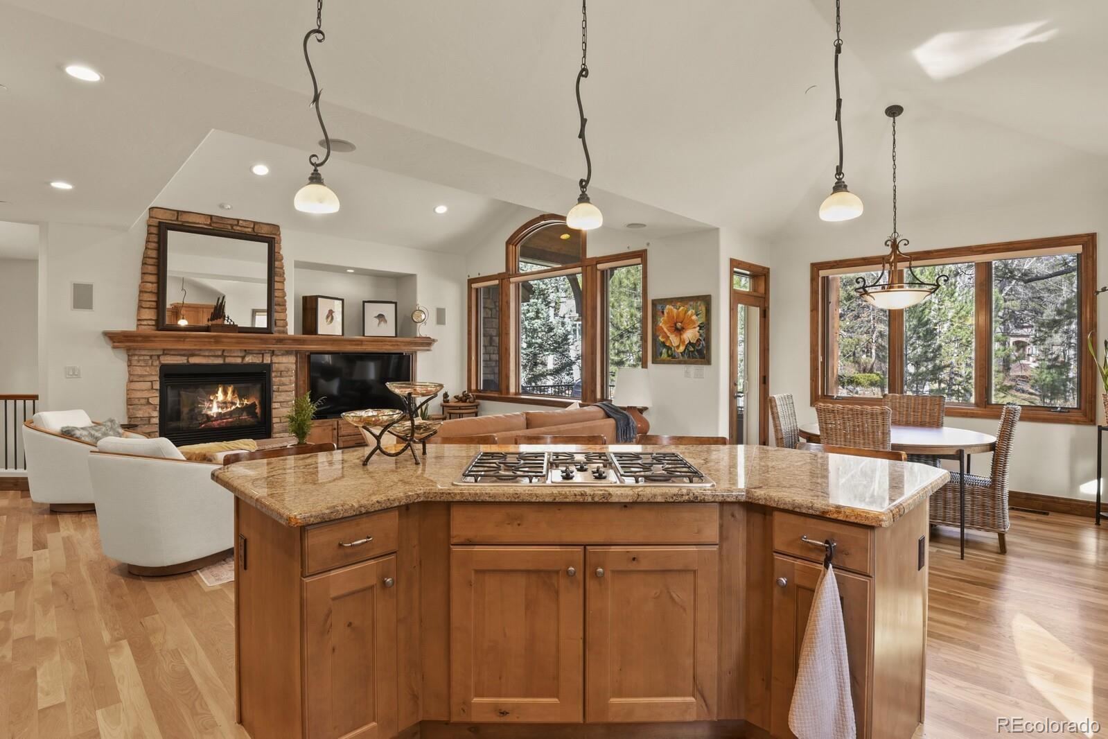 MLS Image #11 for 5275  red pass court,castle rock, Colorado