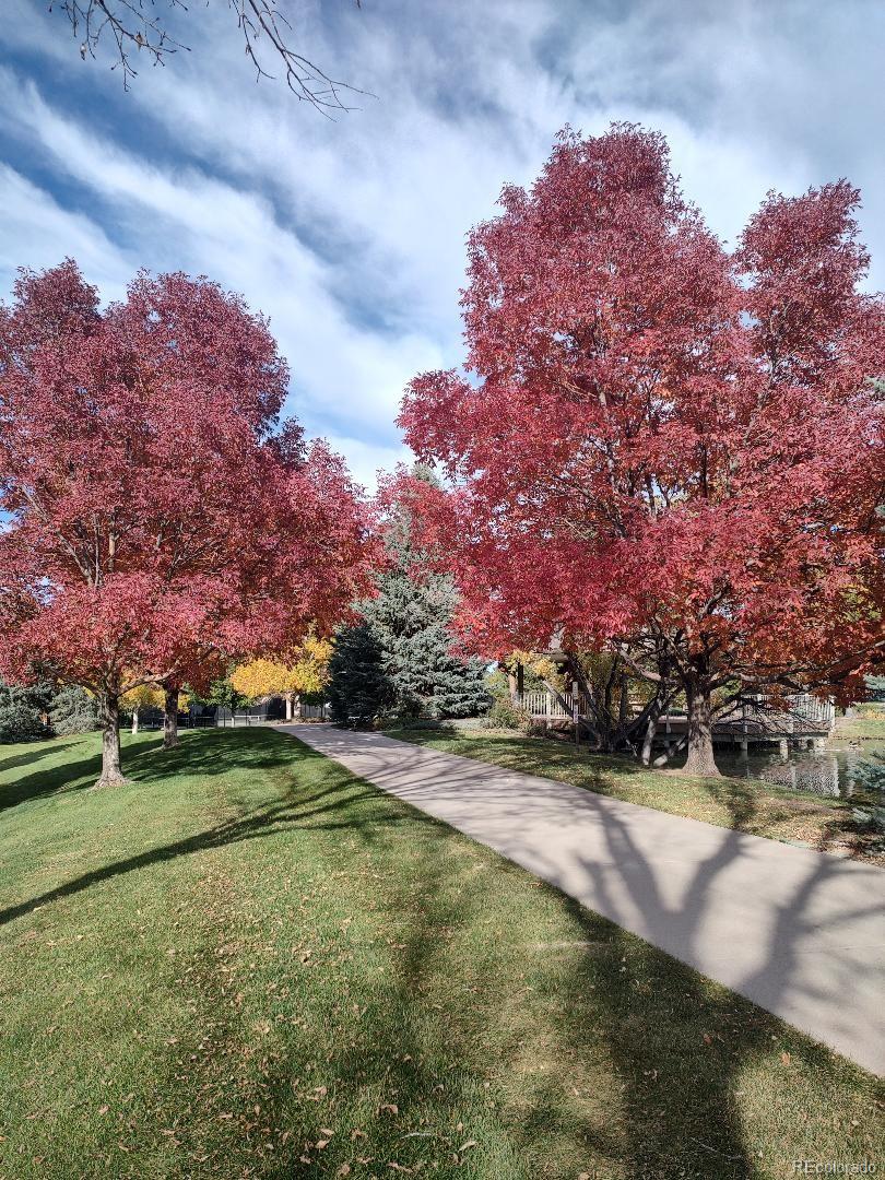 MLS Image #28 for 8617  gold peak drive d,highlands ranch, Colorado