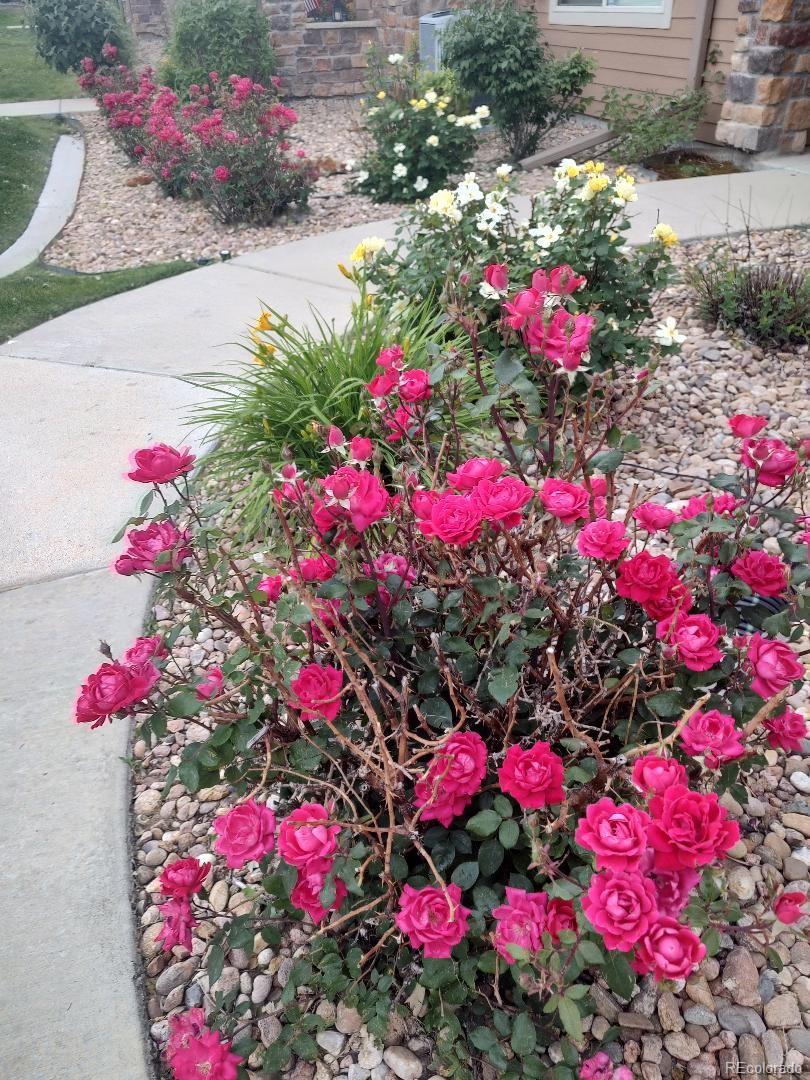 MLS Image #30 for 8617  gold peak drive d,highlands ranch, Colorado