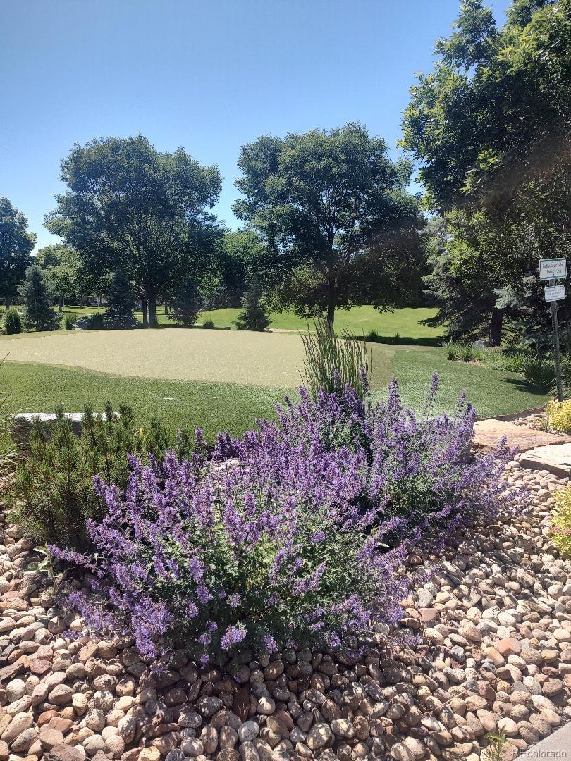 MLS Image #31 for 8617  gold peak drive d,highlands ranch, Colorado