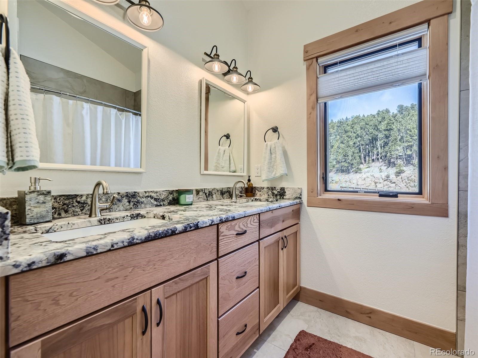 MLS Image #19 for 7569  whispering brook trail,evergreen, Colorado