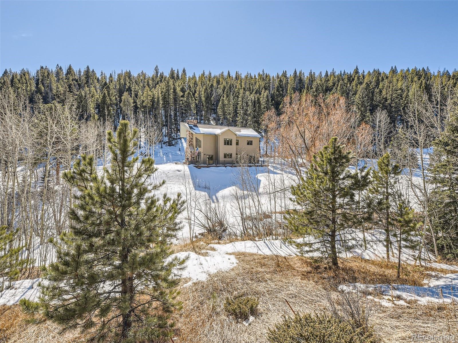 MLS Image #25 for 7569  whispering brook trail,evergreen, Colorado