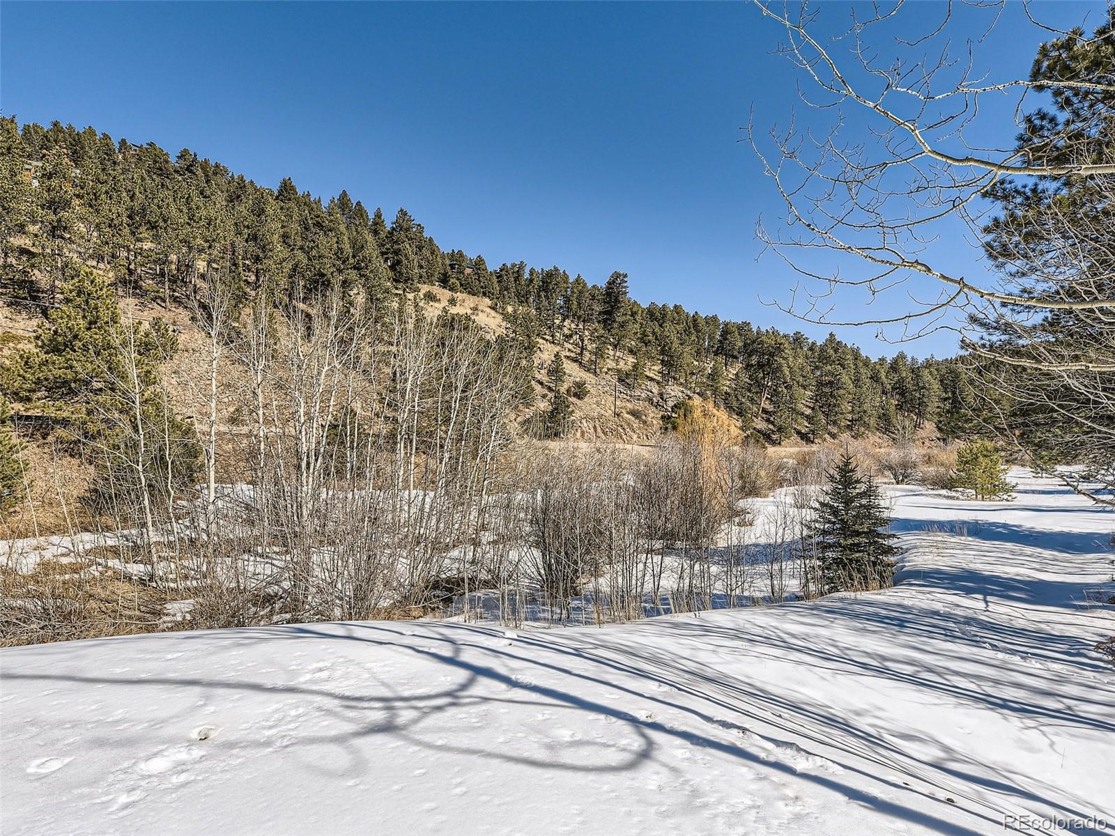 MLS Image #26 for 7569  whispering brook trail,evergreen, Colorado