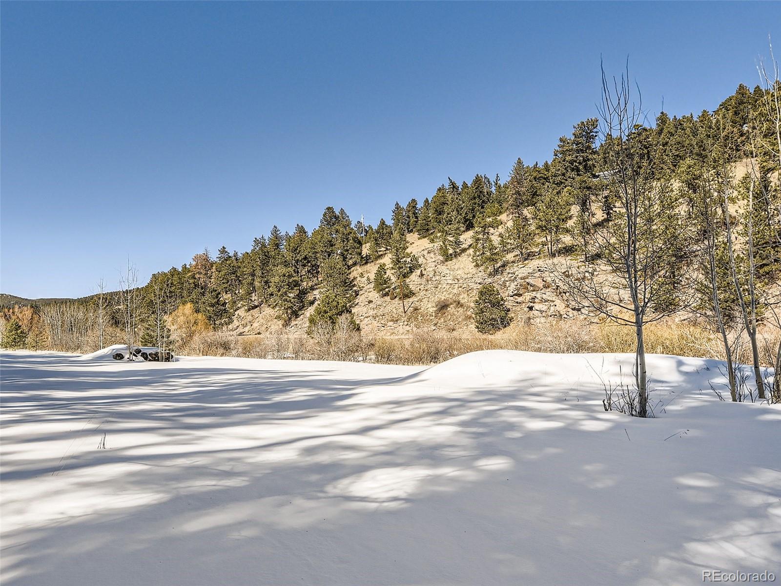 MLS Image #28 for 7569  whispering brook trail,evergreen, Colorado