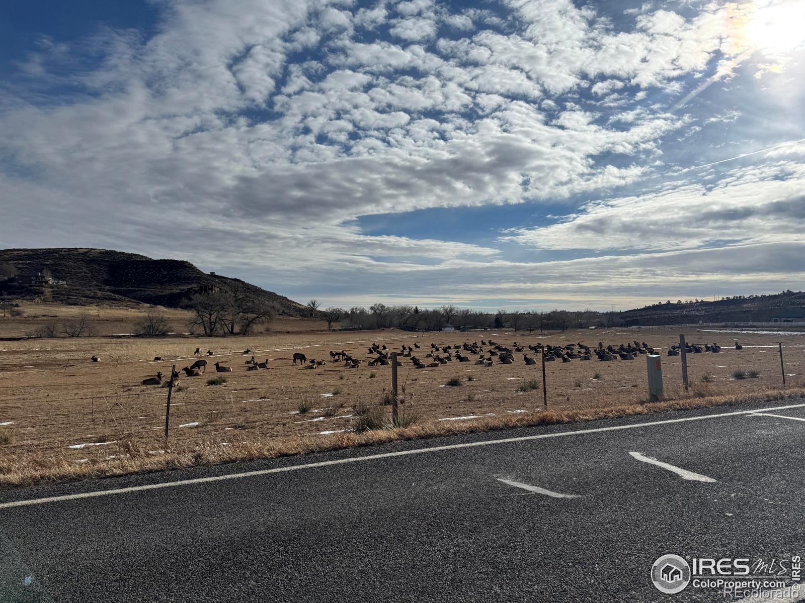 MLS Image #26 for 3707 n county road 27 ,loveland, Colorado