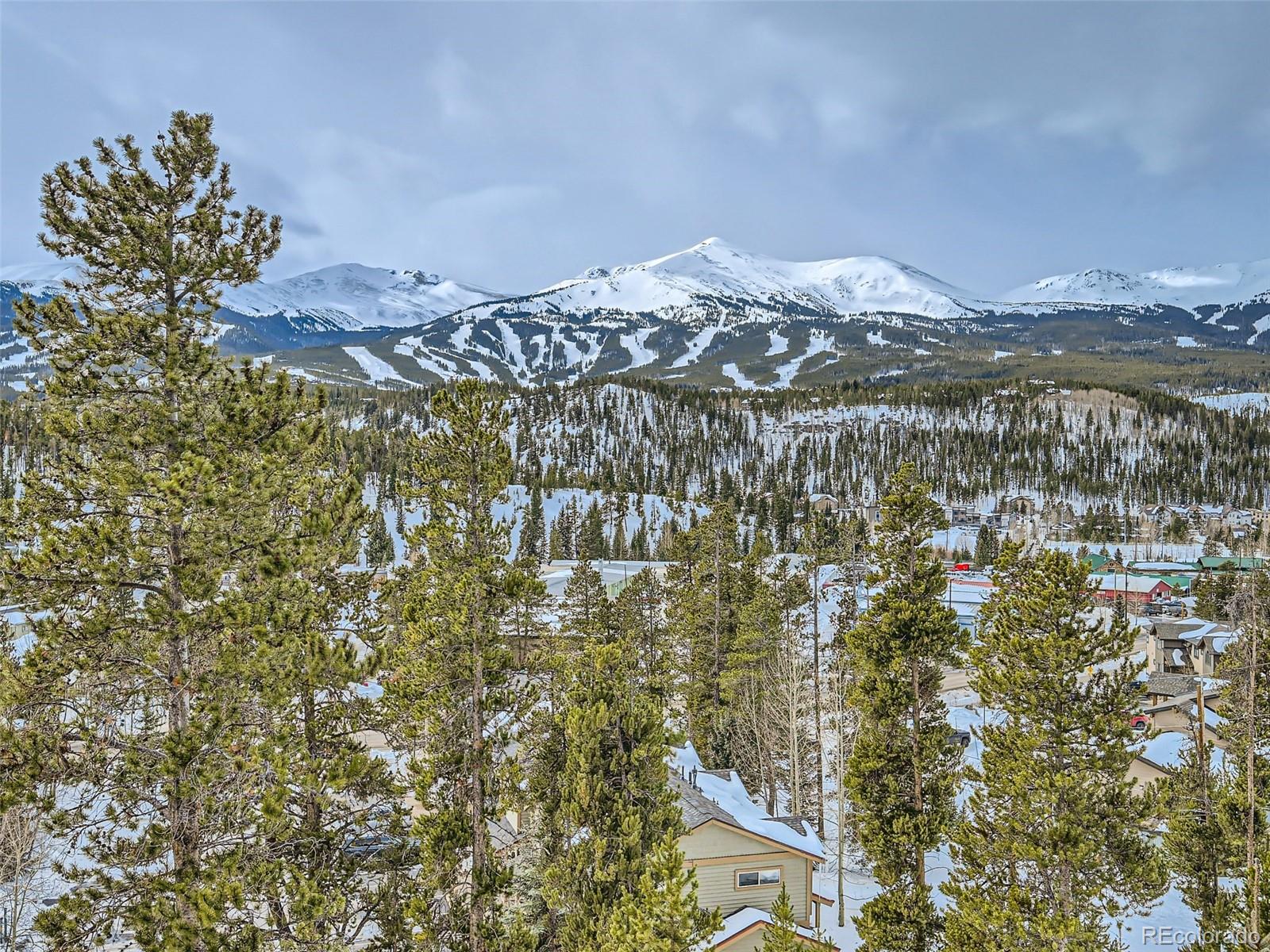 MLS Image #44 for 597  forest hills drive,breckenridge, Colorado