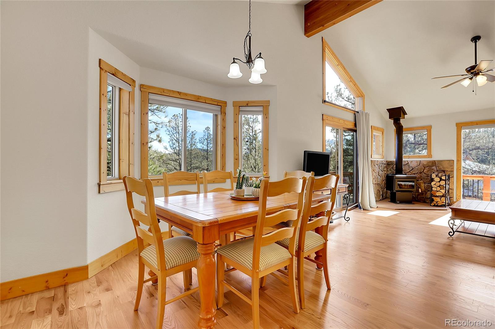 MLS Image #14 for 16348  ouray road,pine, Colorado