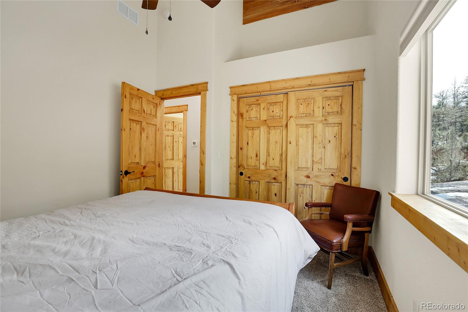 MLS Image #21 for 16348  ouray road,pine, Colorado