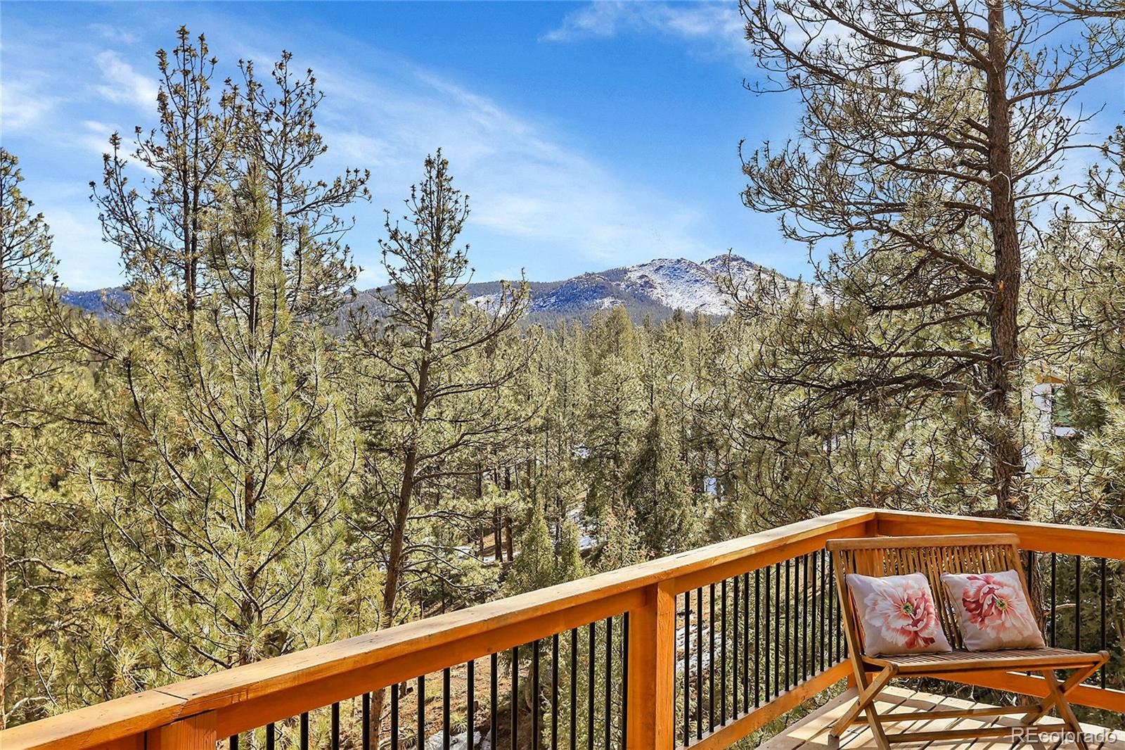 MLS Image #25 for 16348  ouray road,pine, Colorado