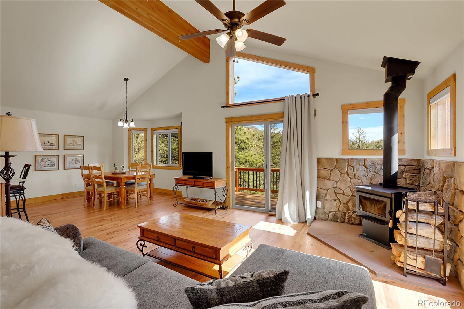 MLS Image #3 for 16348  ouray road,pine, Colorado